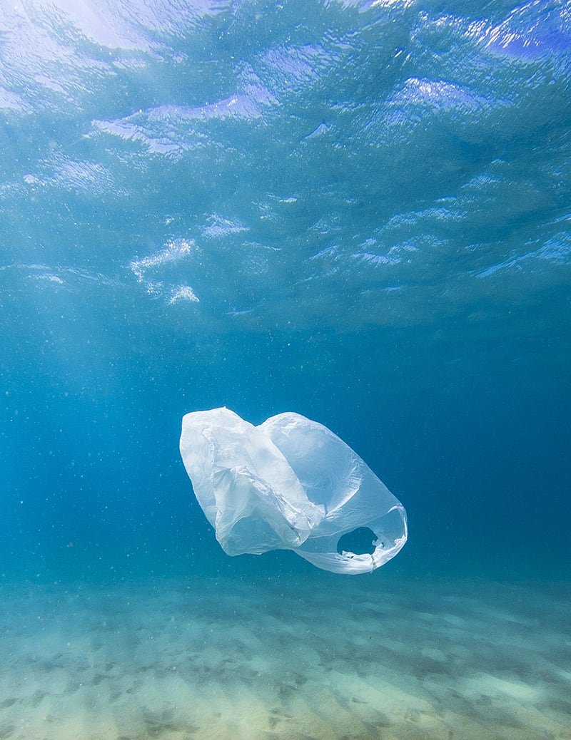 How to Start Your Own Home Recycling Program