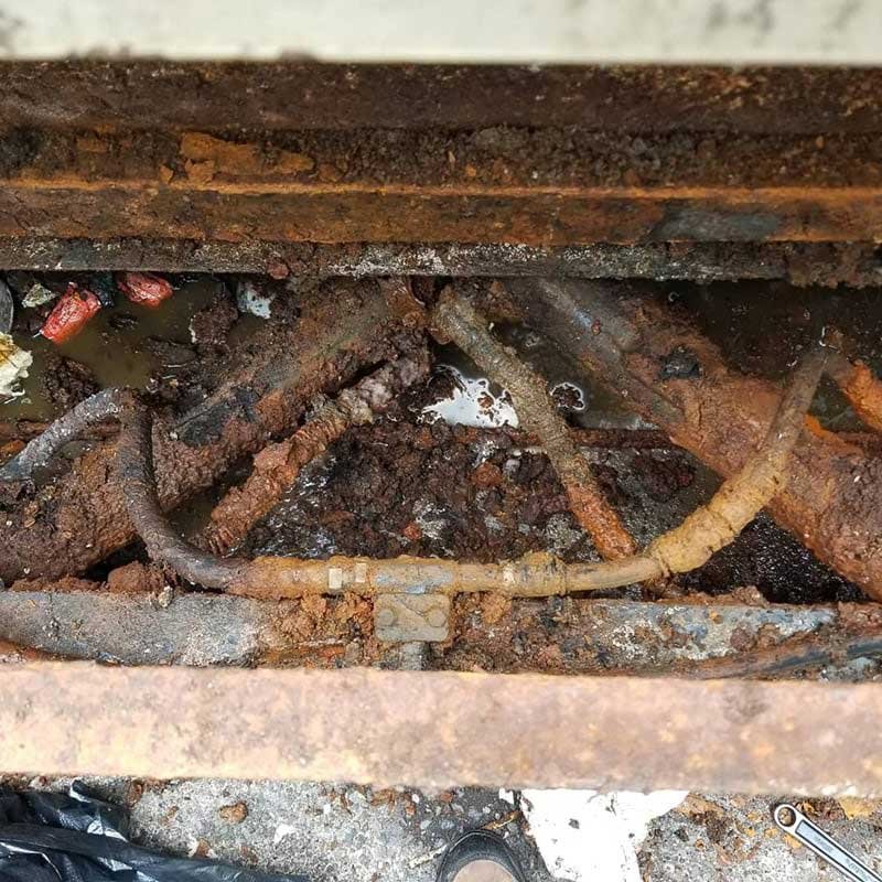 The Importance of Cleaning