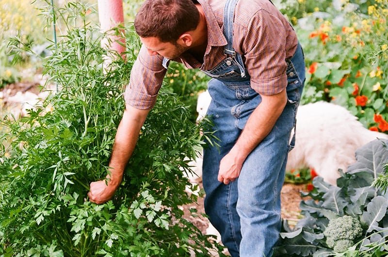 Do You Have Black Gold in Your Soil?