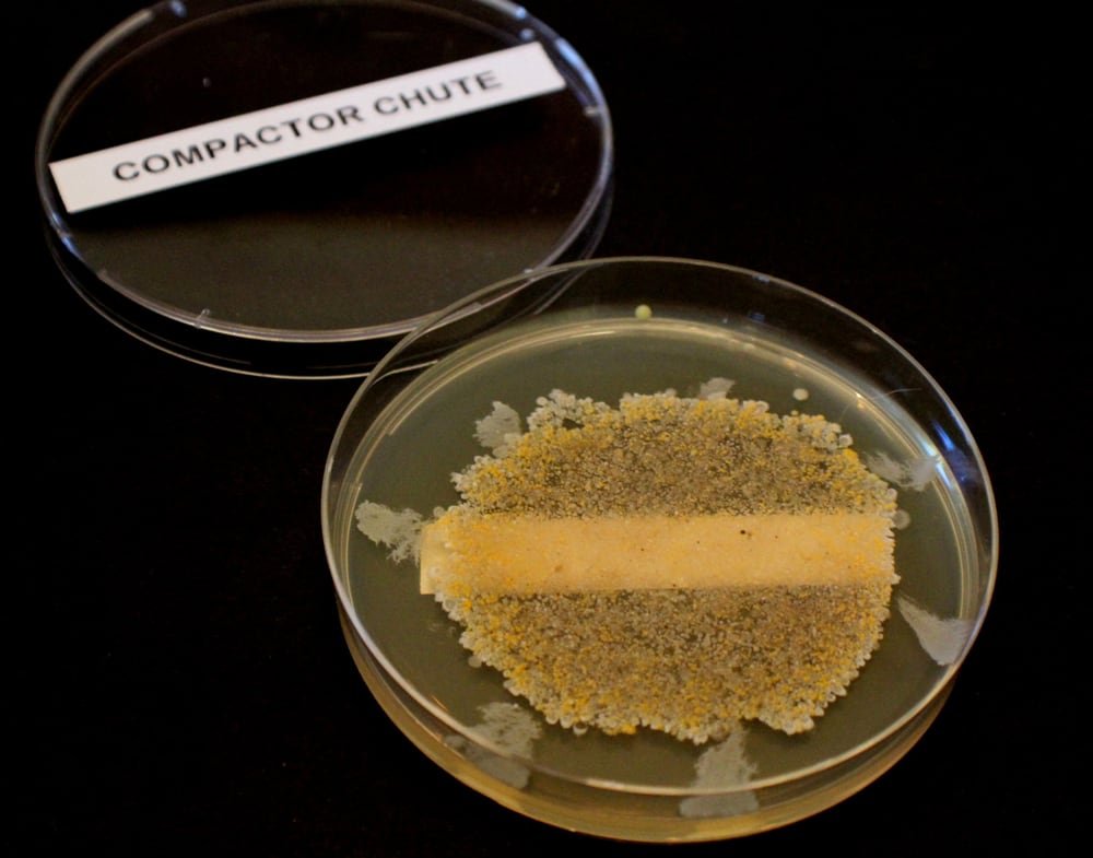 waste particles from compactor